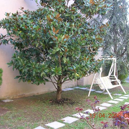 Hotel Trieste Senigallia Eksteriør billede