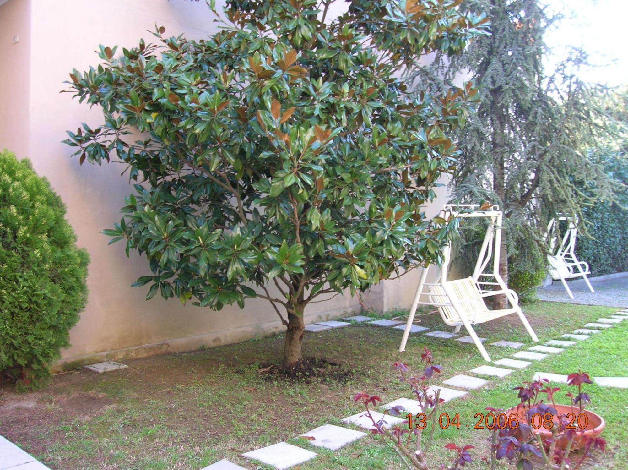 Hotel Trieste Senigallia Eksteriør billede